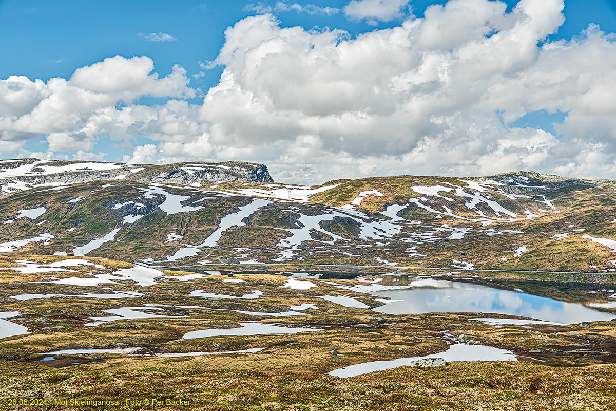 Skjelinganosa