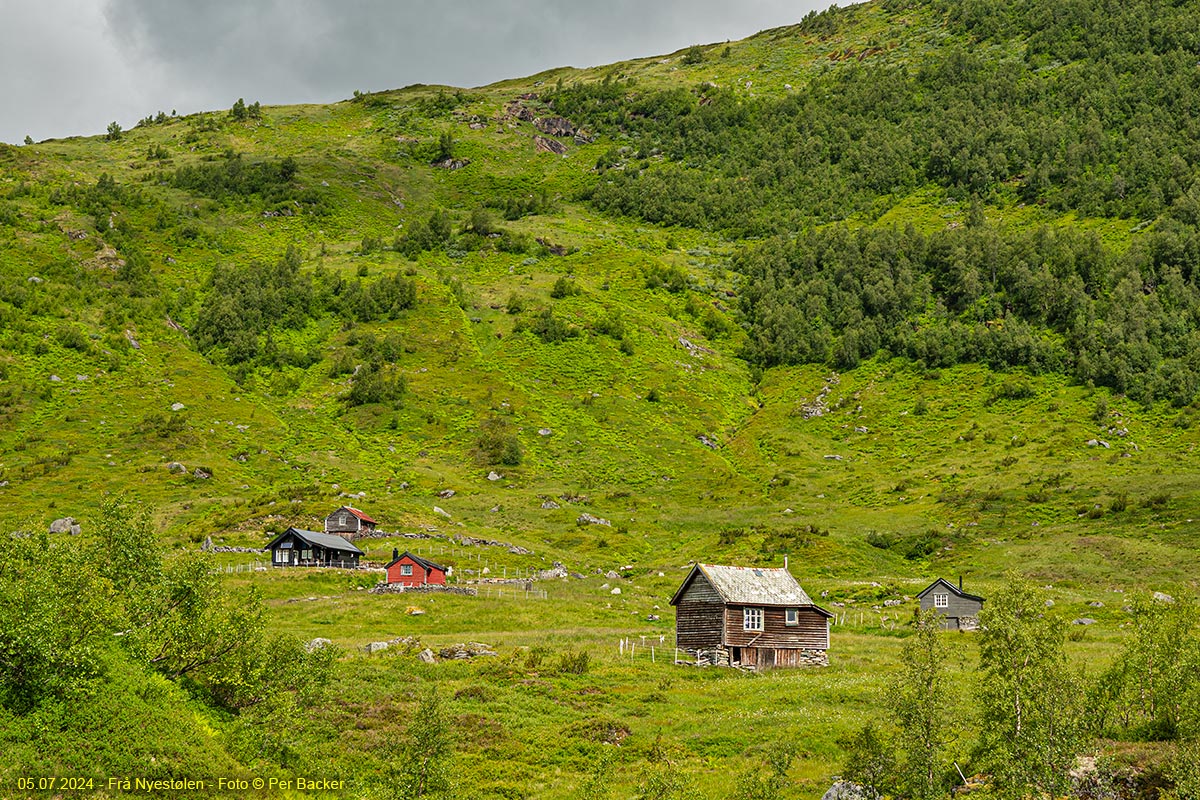 Nyestølen