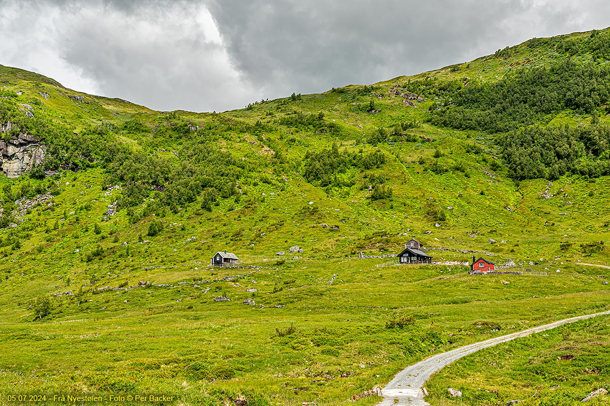 Nyestølen