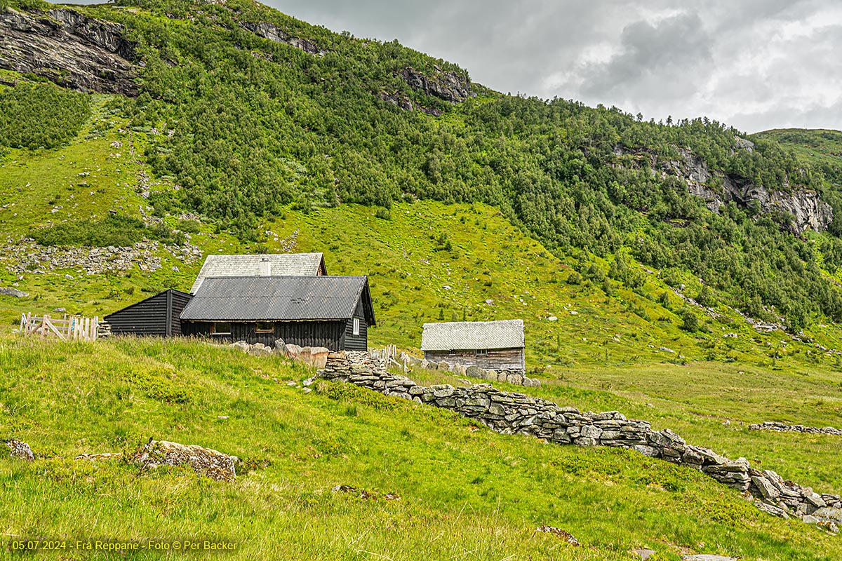 Frå Reppane