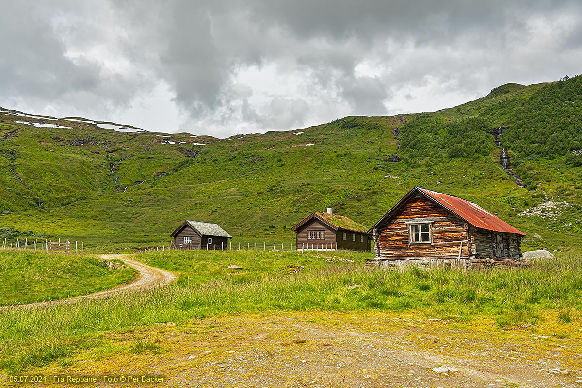 Frå Reppane