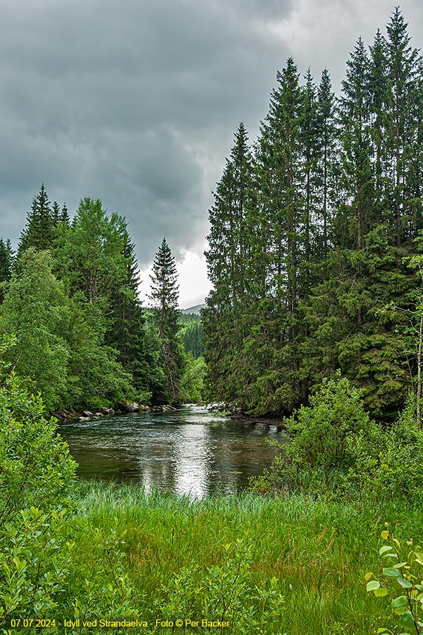 Idyll ved Strandaelva