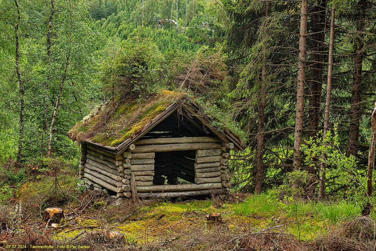 Tømmerhytte