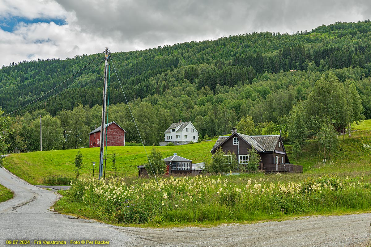 Frå Vasstronda