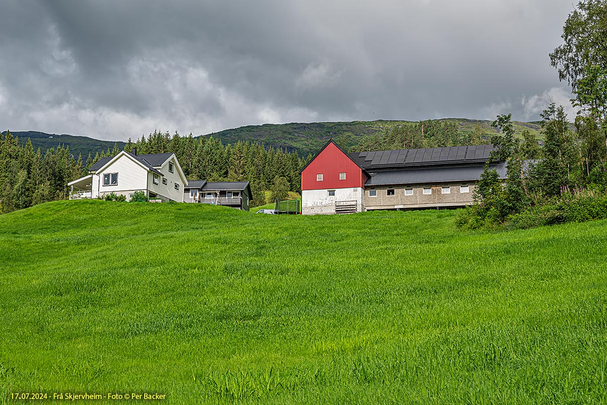 Frå Skjervheim