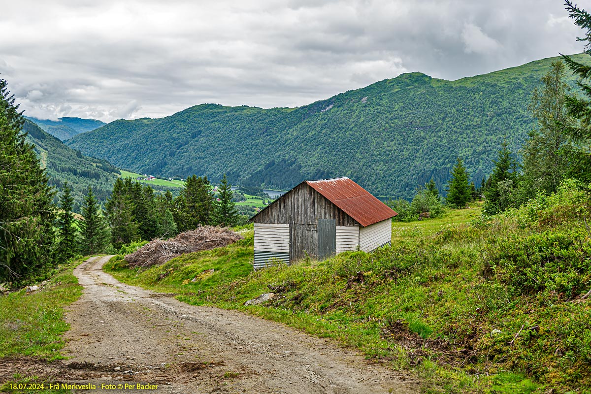 Frå Mørkveslia