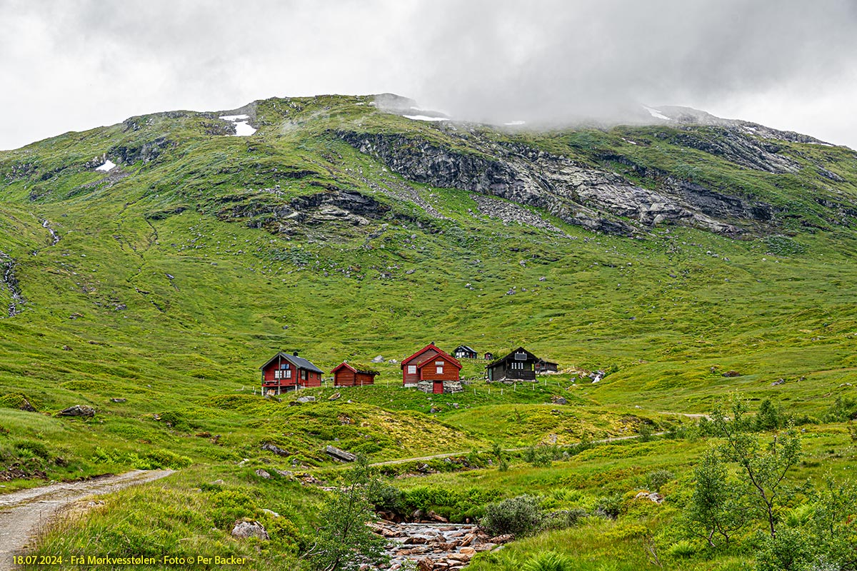 Frå Mørkvesstølen