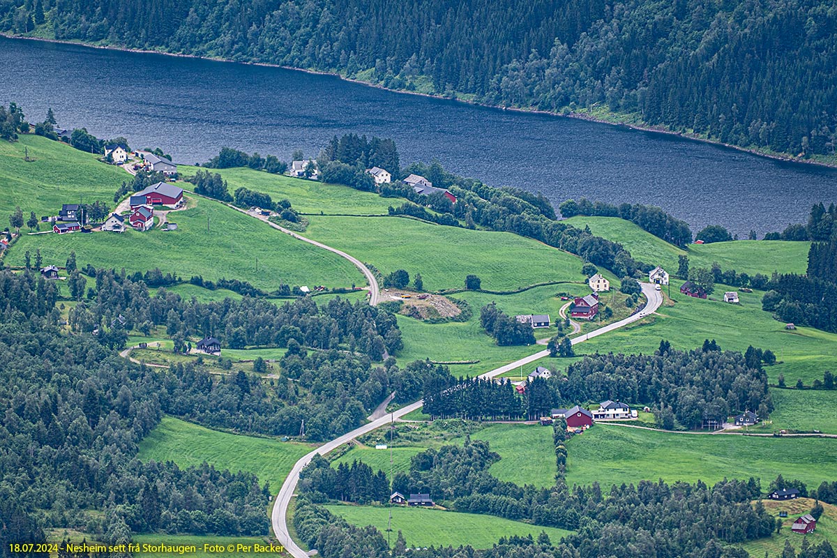 Nesheim sett frå Storhaugen