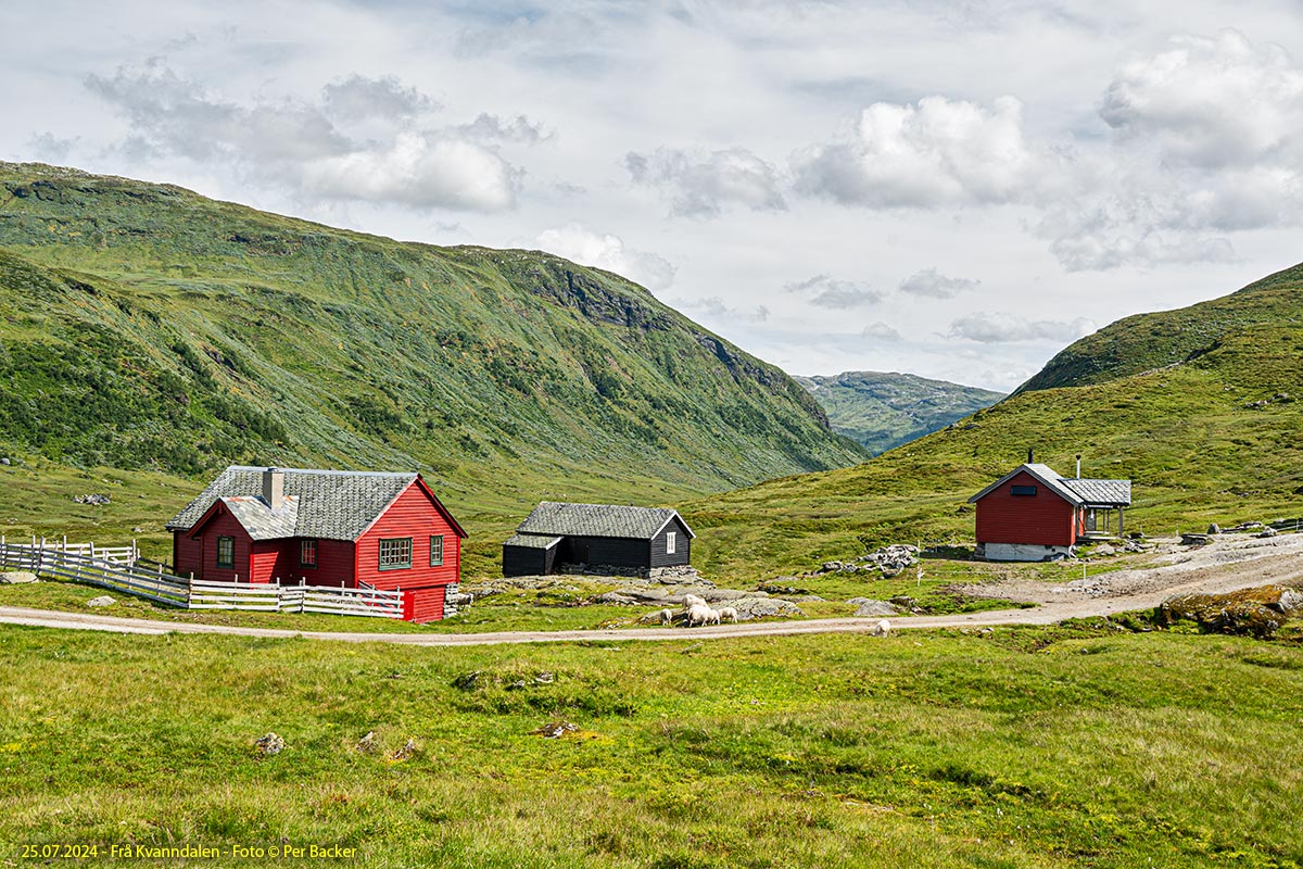 Frå Kvanndalen