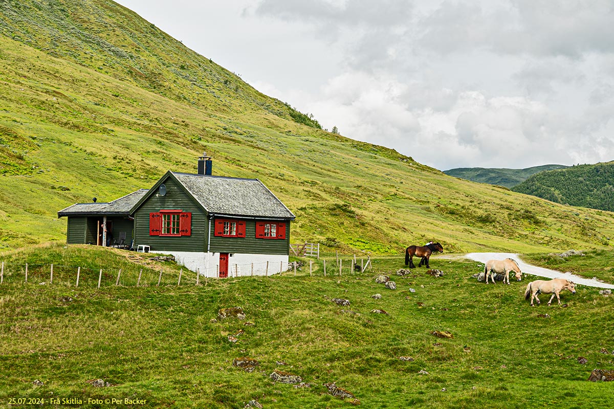 Frå Skitlia