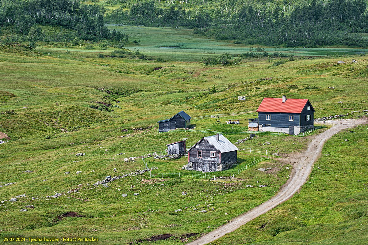 Tjødnarhovden