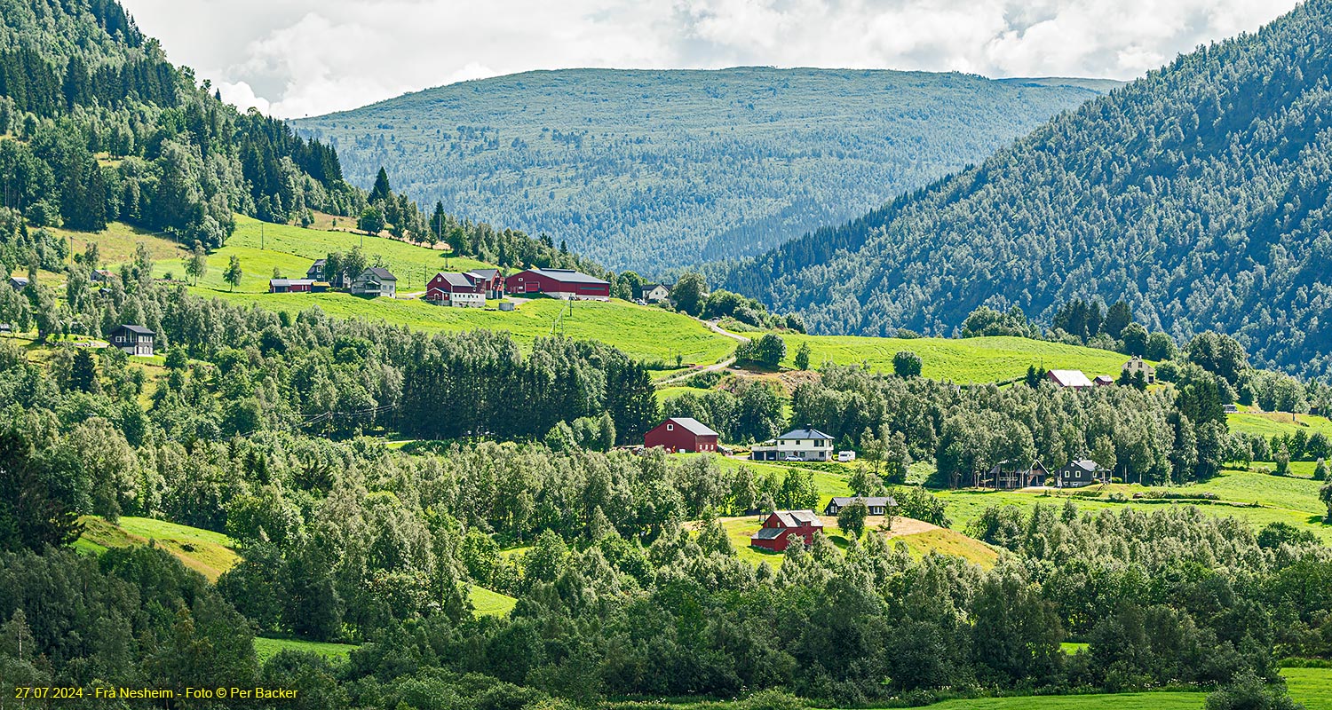 Frå Nesheim