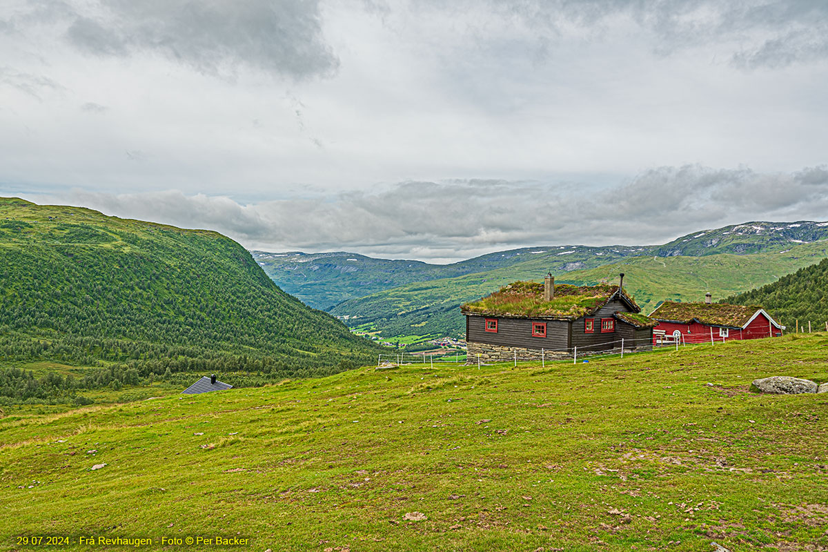 Frå Revhaugen