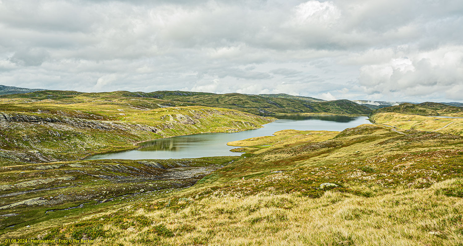 Hestavatnet