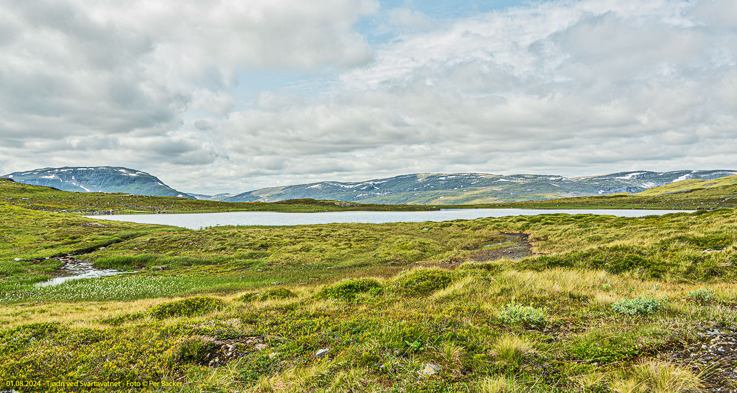 Tjødn ved Svartavatnet