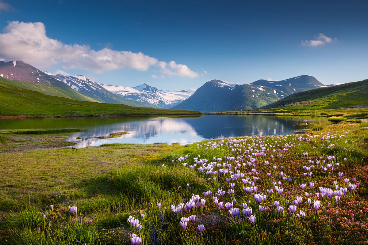 Fjellandkap