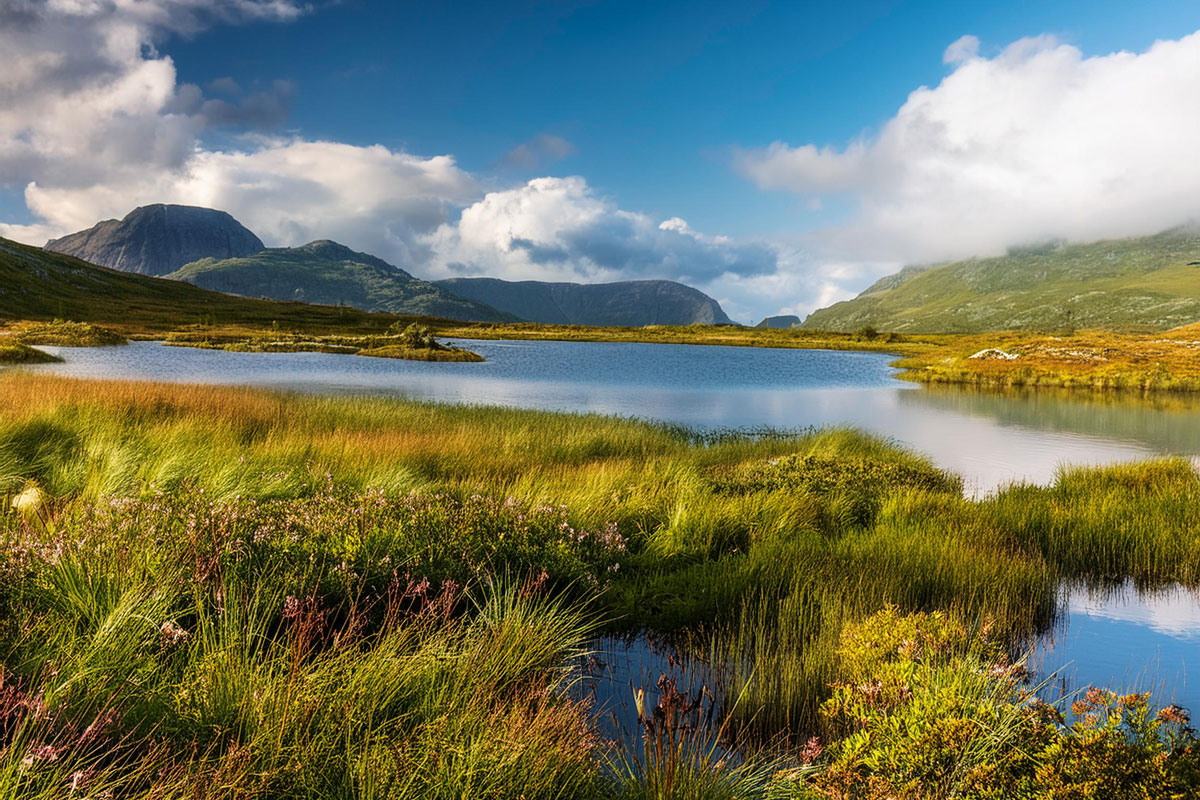 Fjellandkap