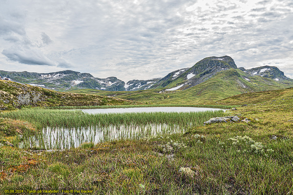 Tjødn på Vikafjellet