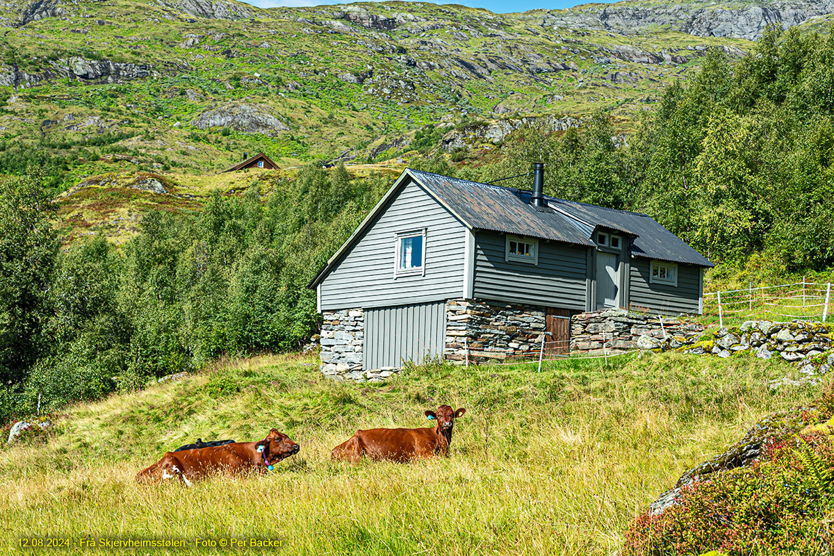 Frå Skjervheimsstølen