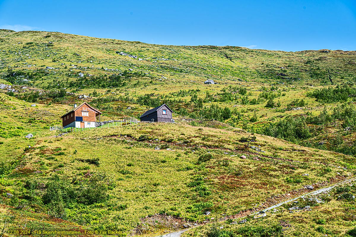 Frå Skjervheimsstølen