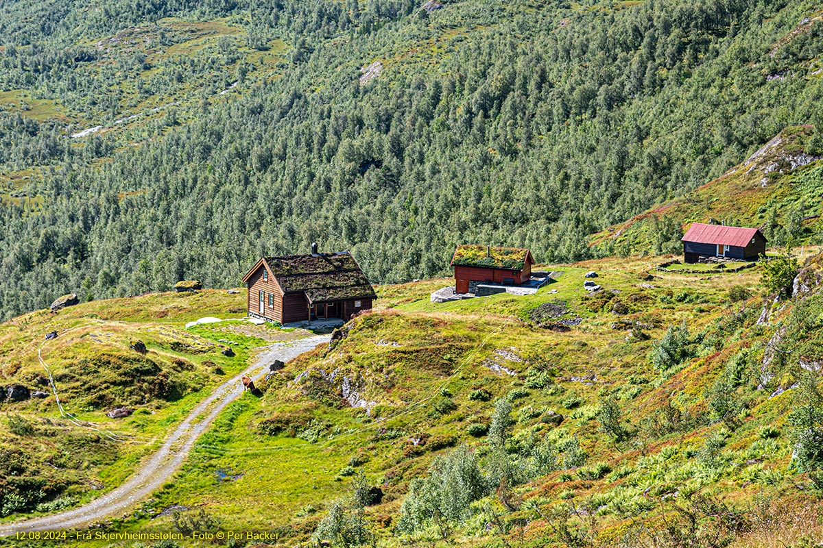 Frå Skjervheimsstølen