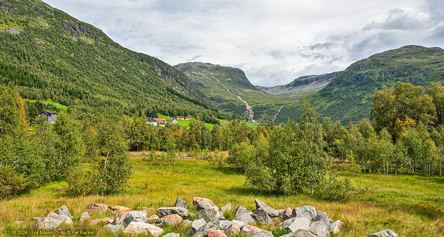 Frå Nåsen