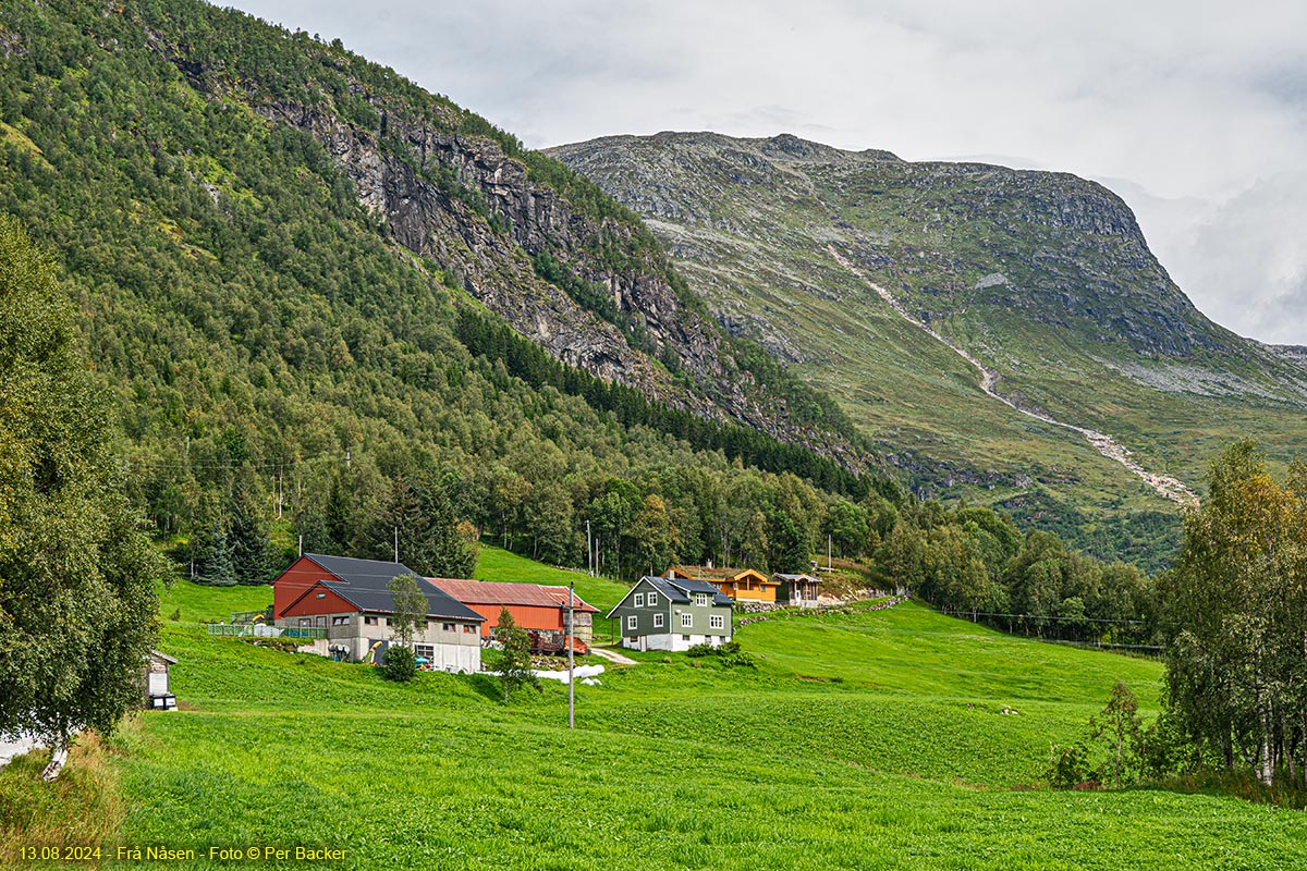 Frå Nåsen