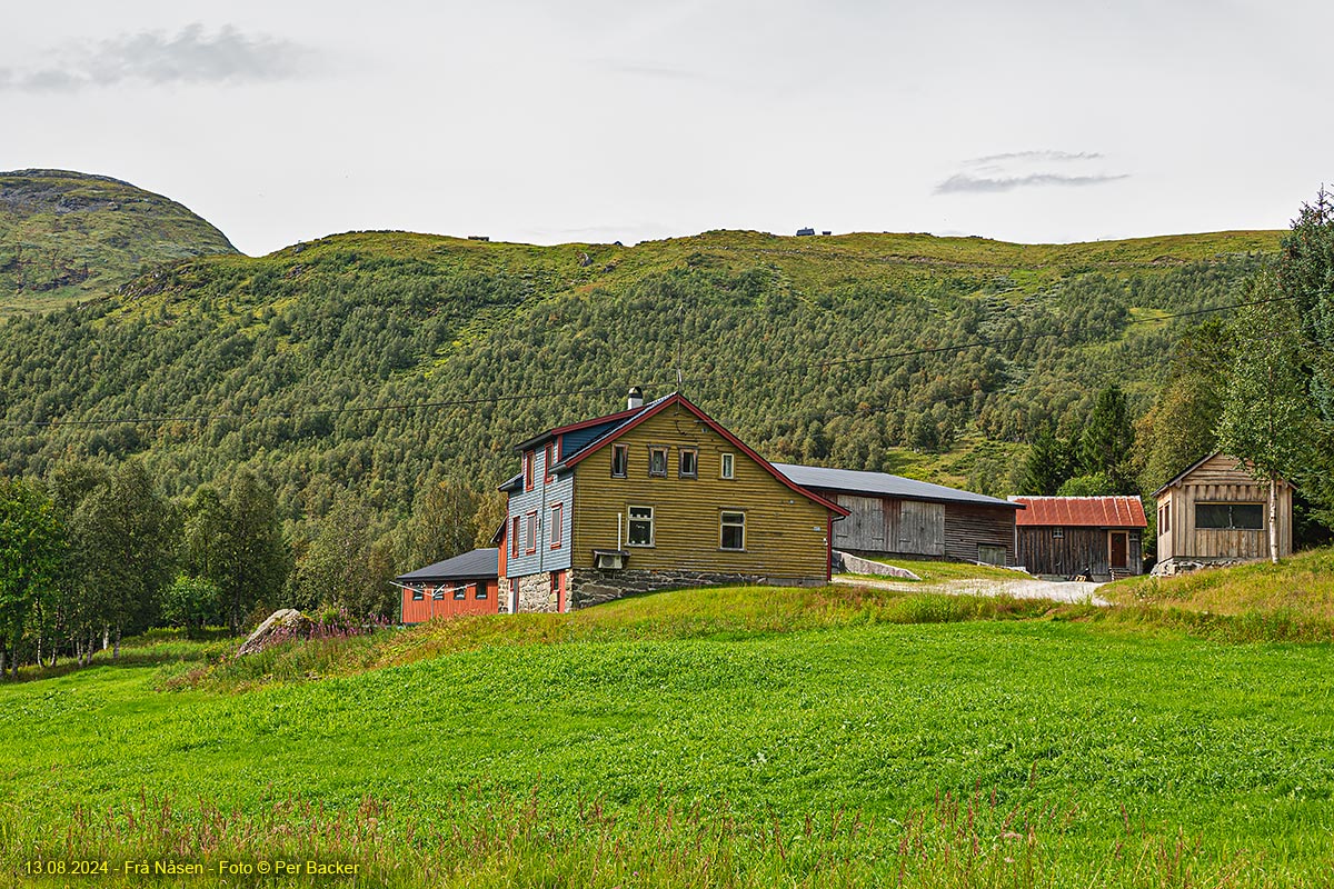 Frå Nåsen