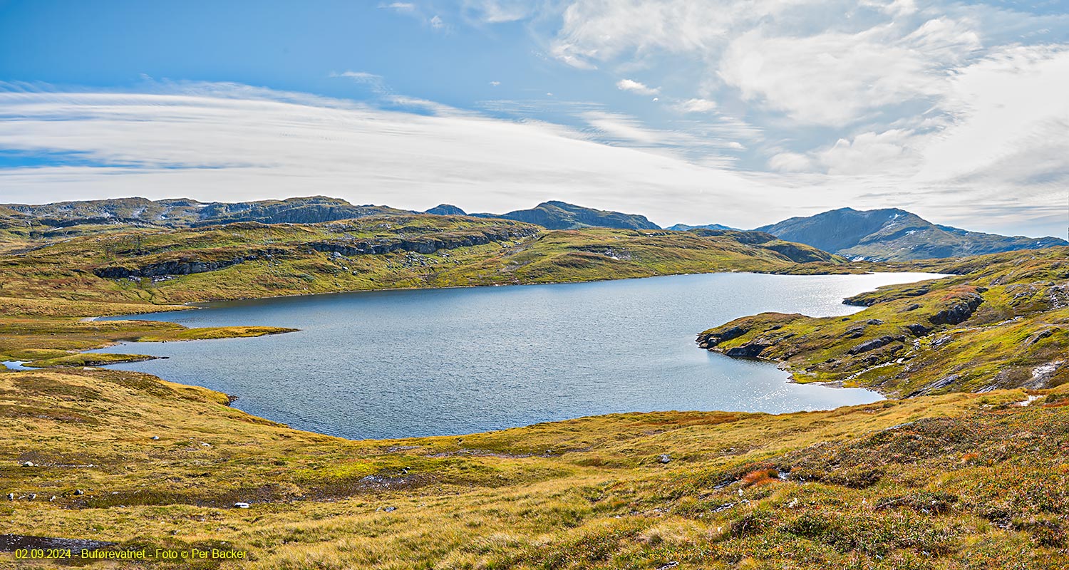 Buførevatnet