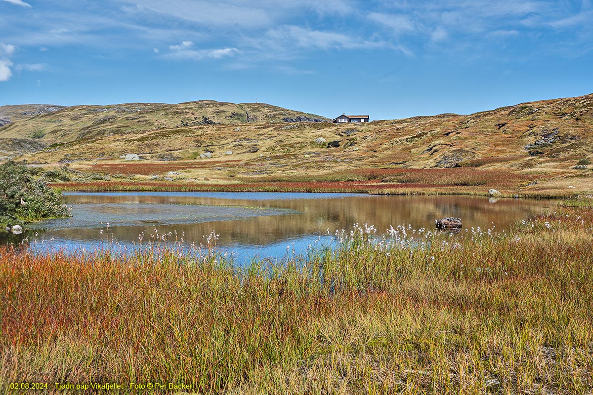 Tjødn på Vikafjellet