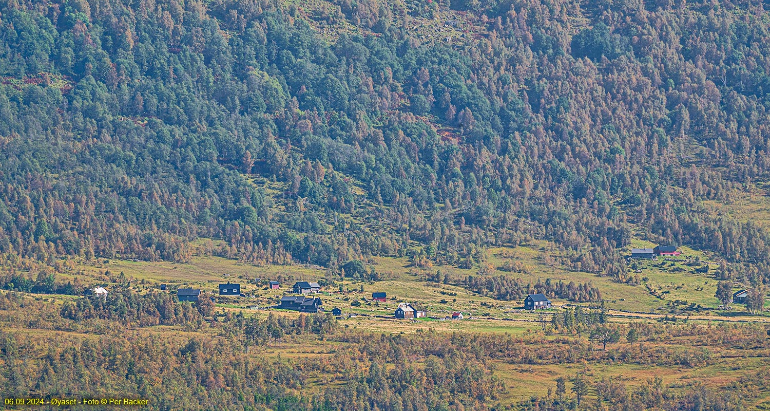 Placeholder Øyaset