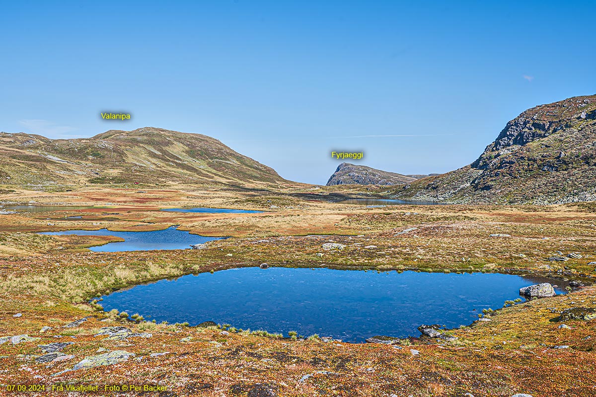 Frå Vikafjellet