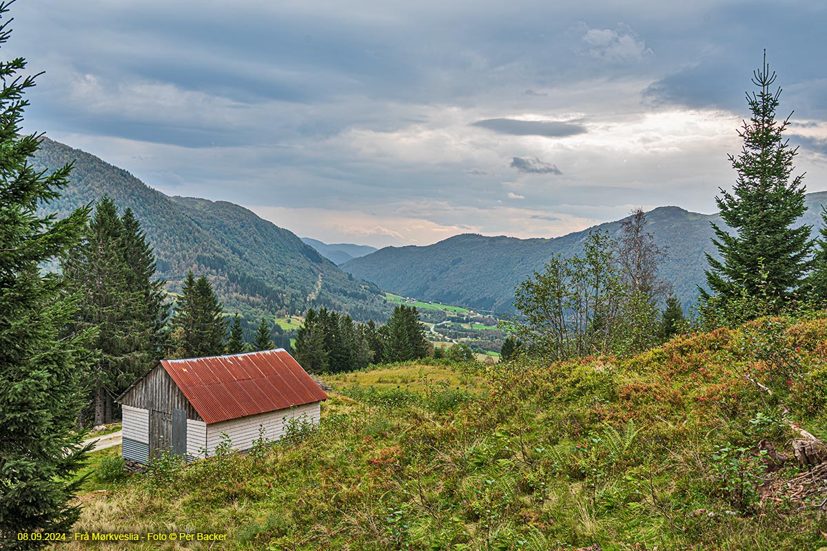 Frå Mørkveslia