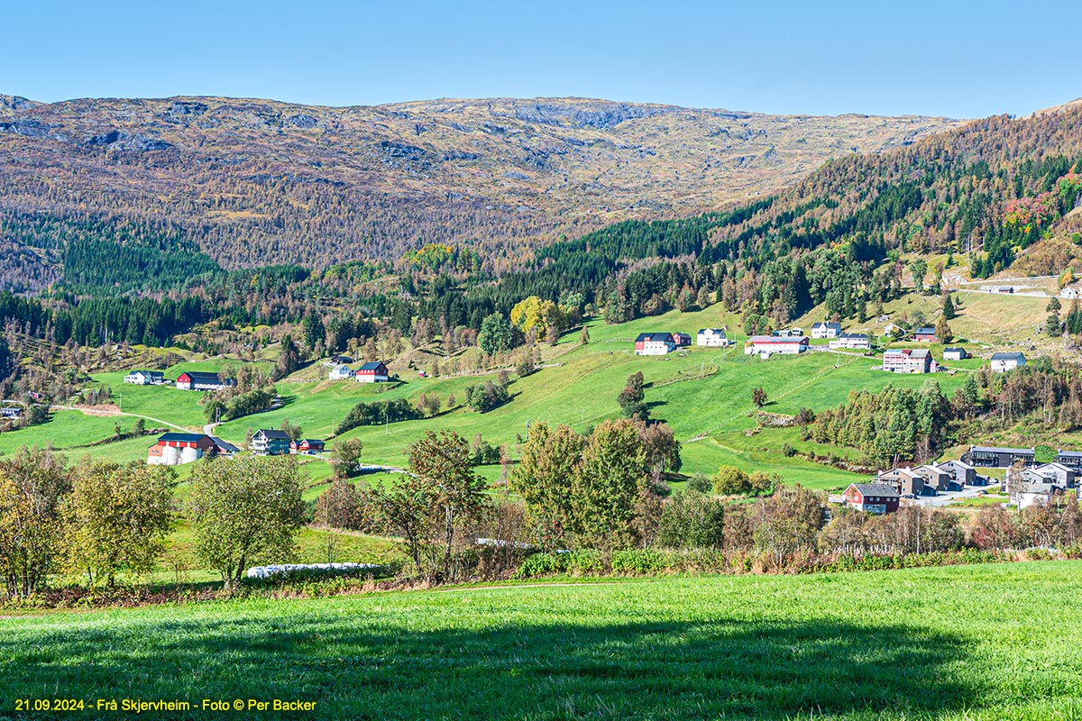 Frå Skjervheim