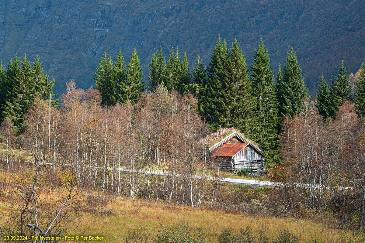 Frå Nyestøllen