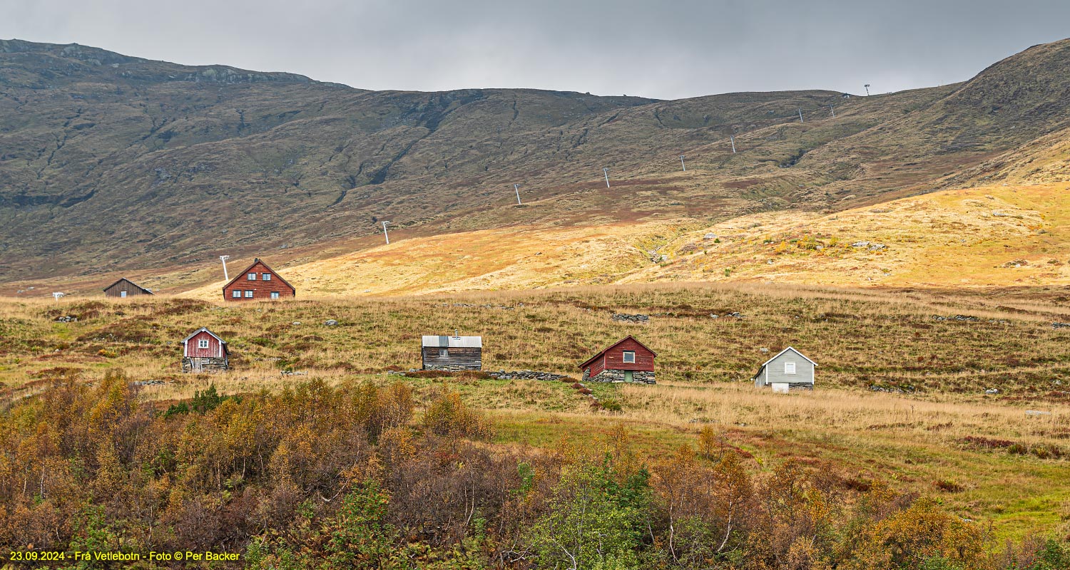 Frå Vetlebotn