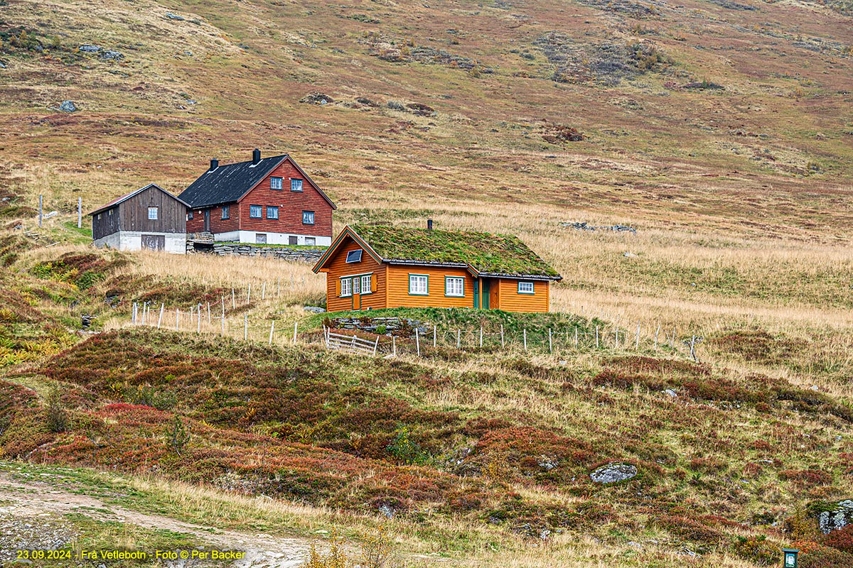 Frå Vetlebotn