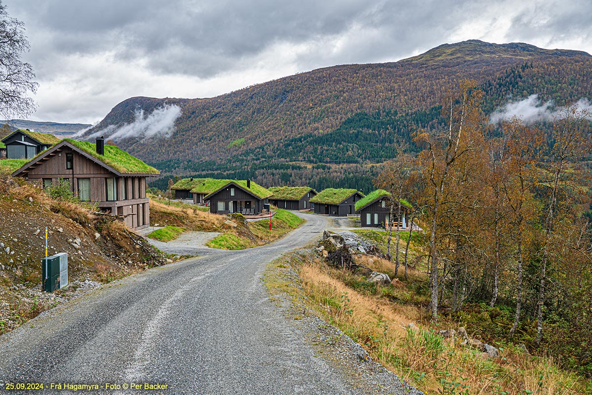 Frå Hagamyra