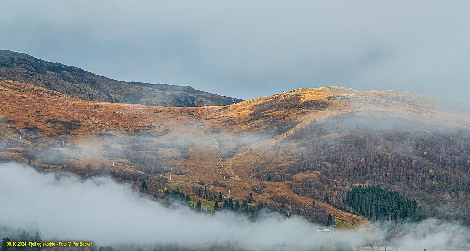 Fjell og skodde