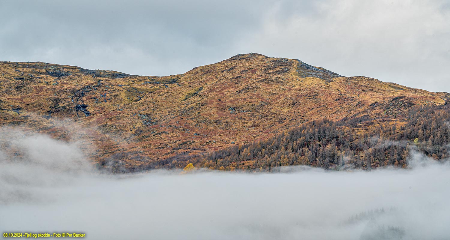 Fjell og skodde