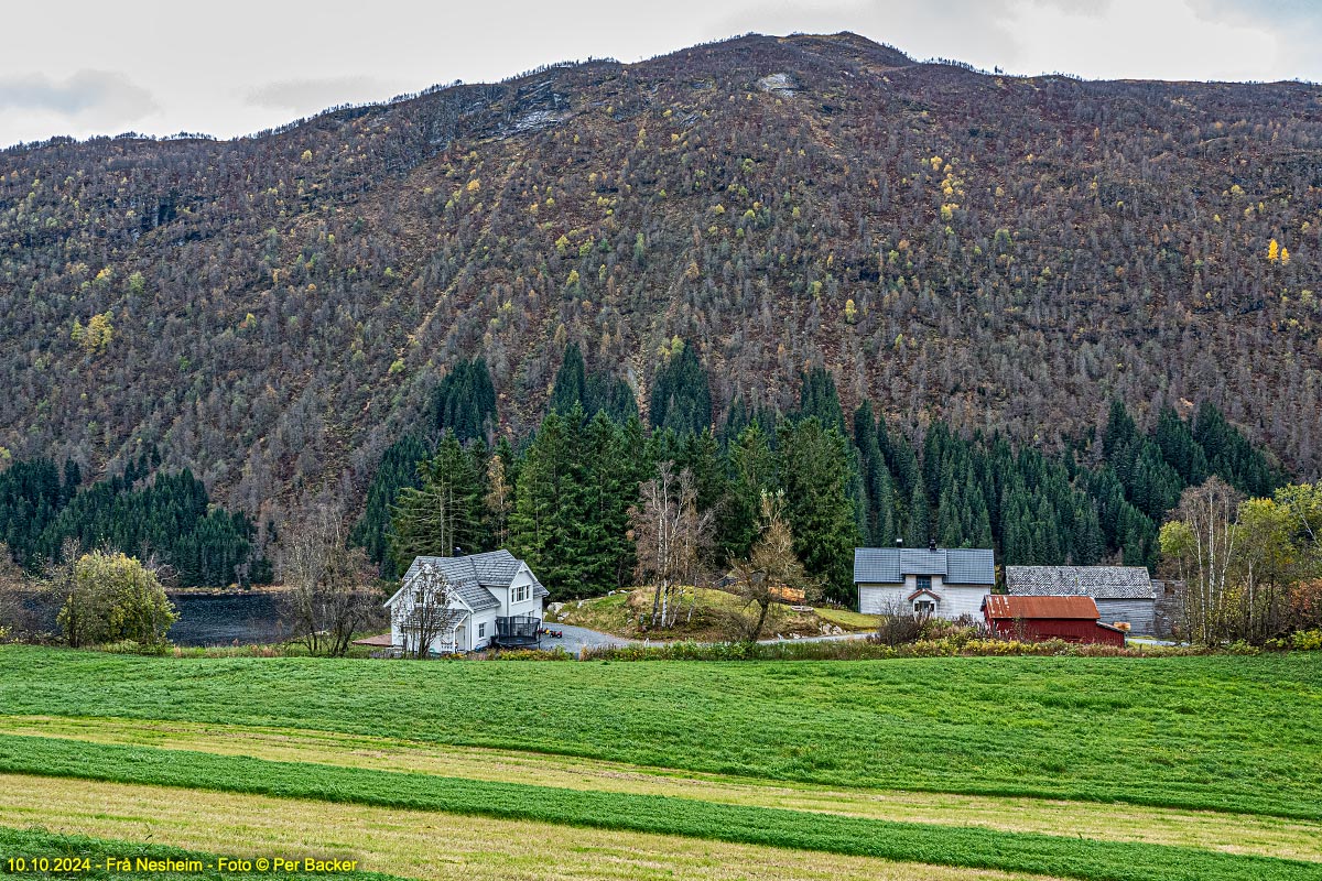 Frå Nesheim