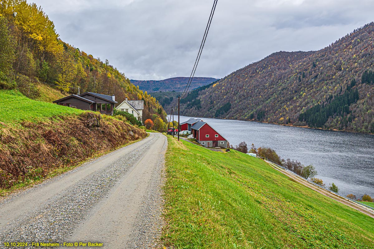 Frå Nesheim