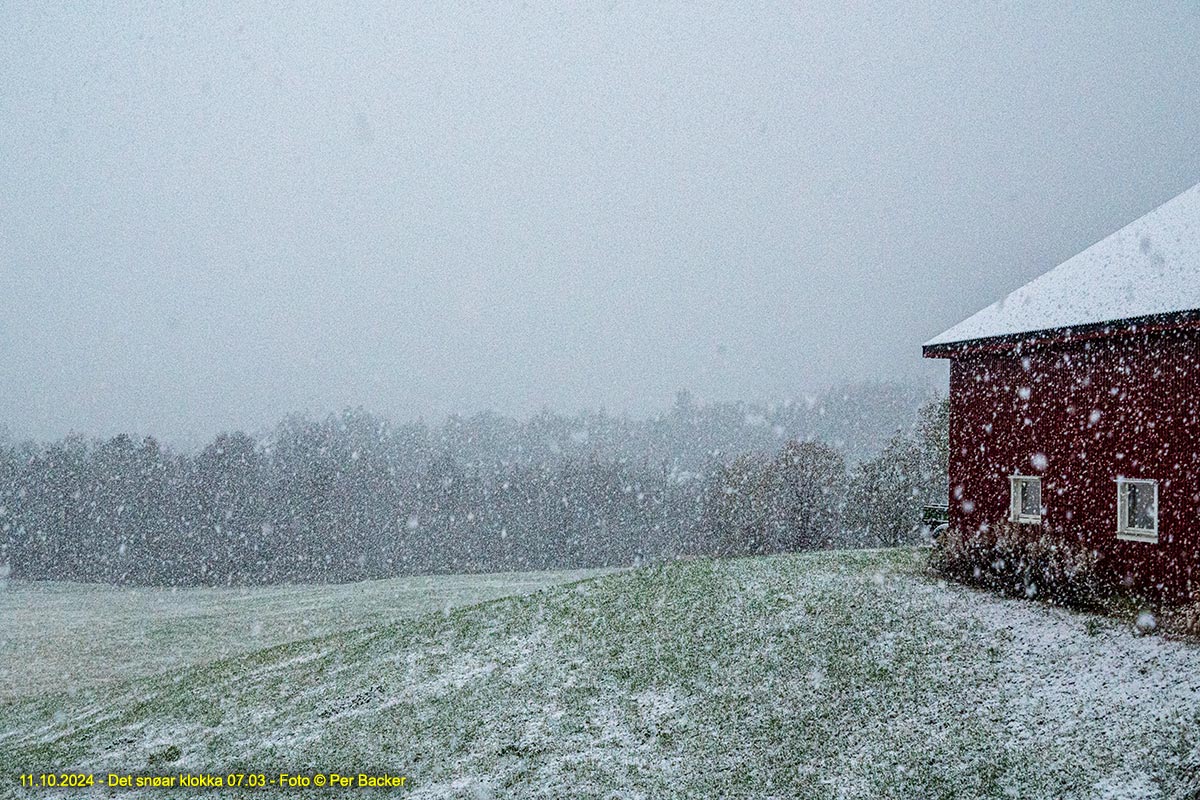 Det snøar klokka 07.03