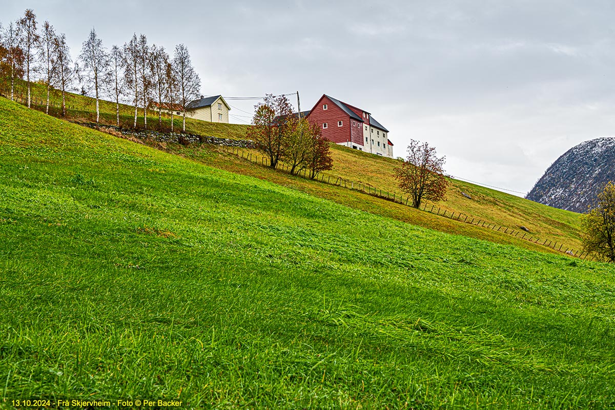 Frå Skjervheim