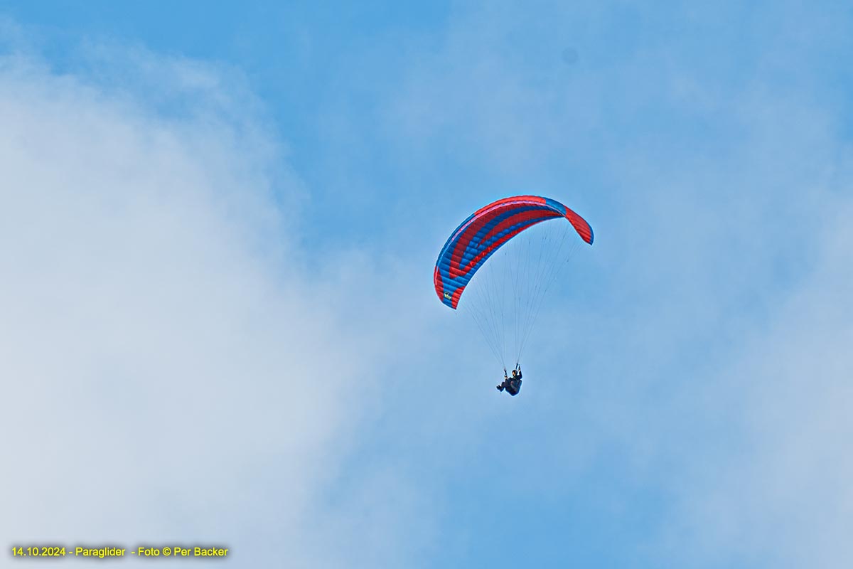 Paraglider