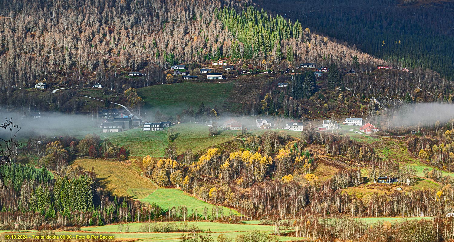 Frå Tveite klokka 09.00