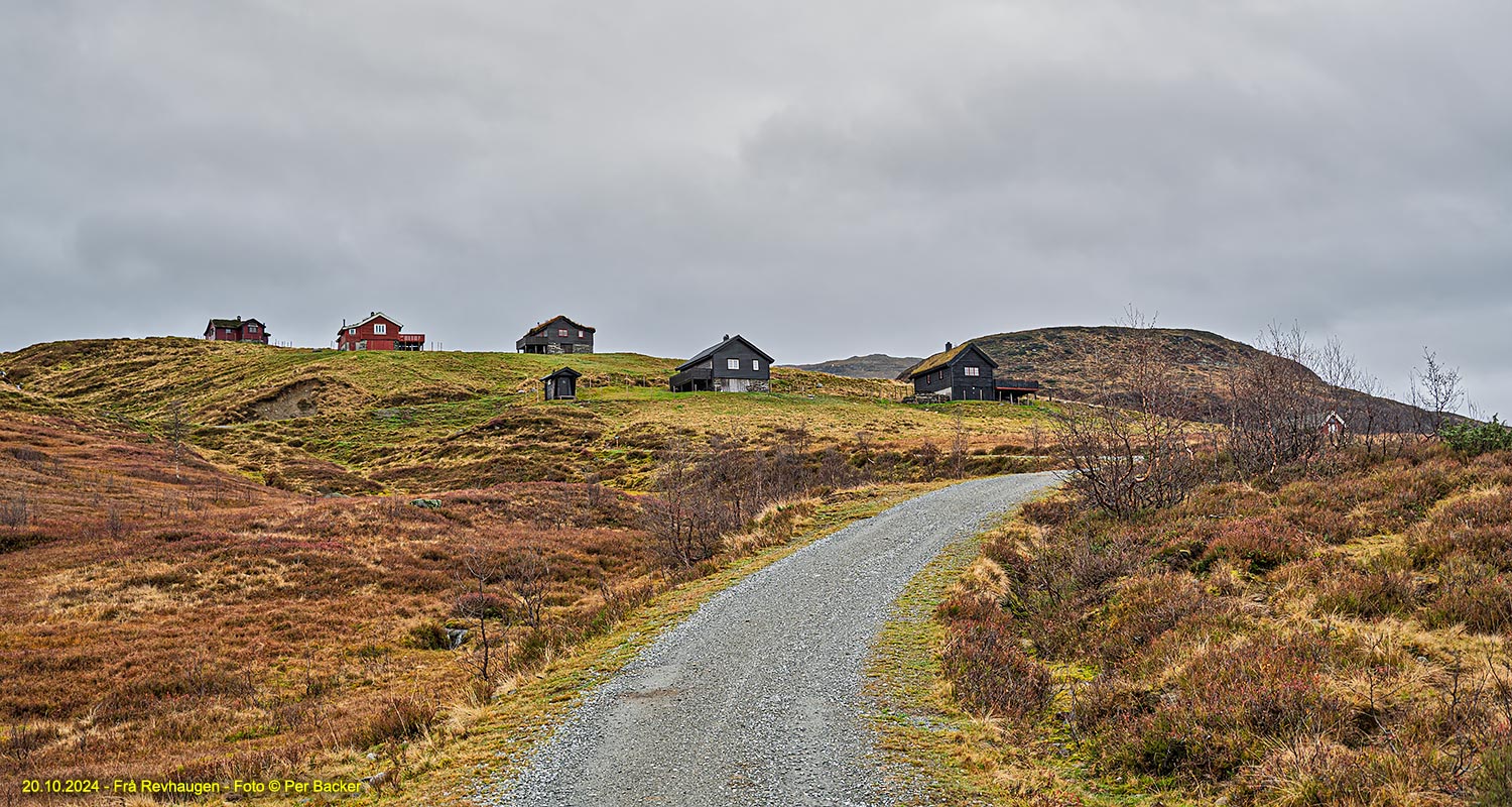 Frå Revhaugen