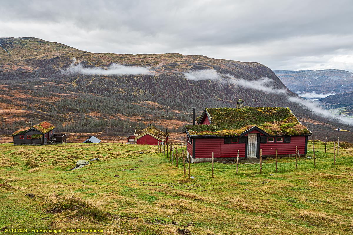 Frå Revhaugen