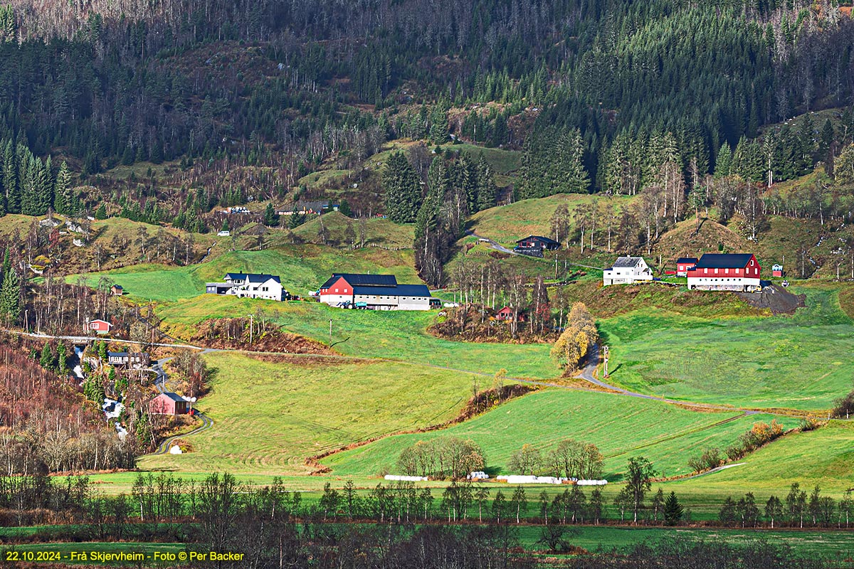 Frå Skjervheim