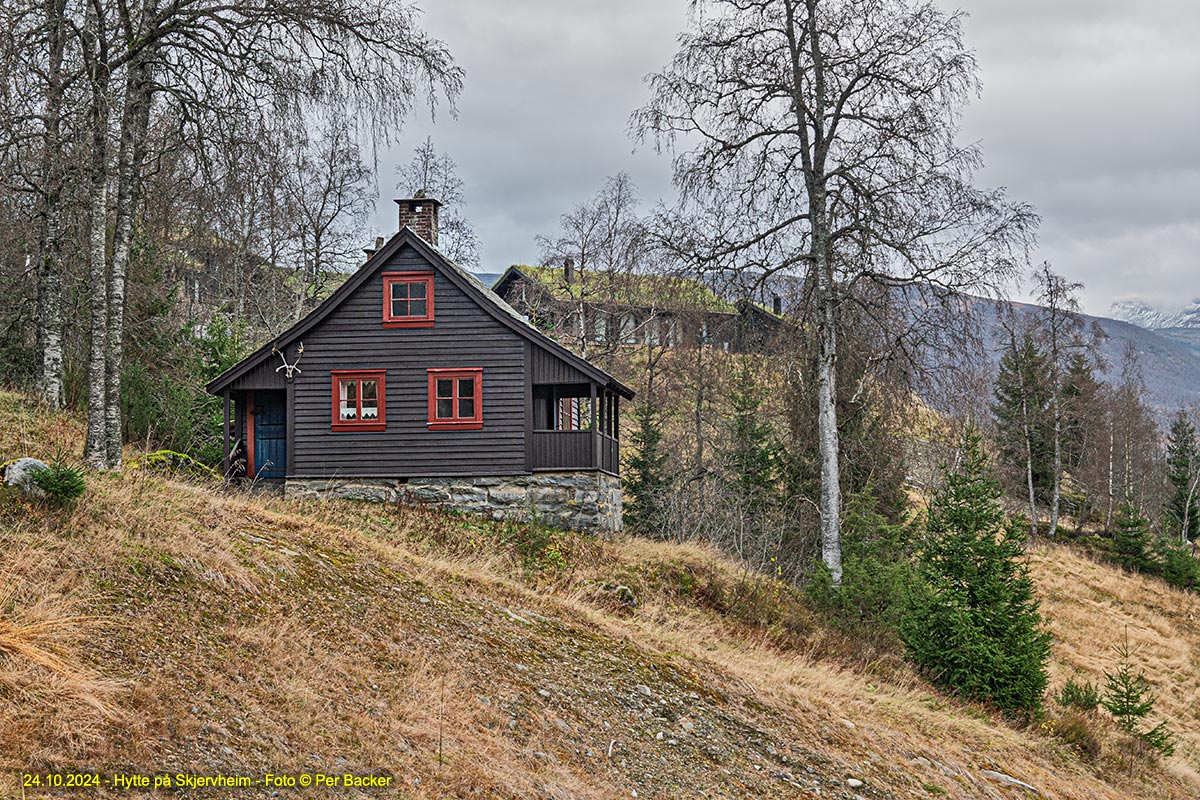 Hytte på Skjervheim